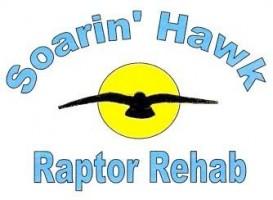 Raptor Rehab logo