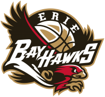 Erie BayHawks logo