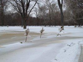 The power of the flooding river water