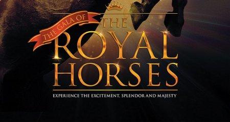 The Gala of the Royal Horses
