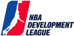 NBA Development League logo.